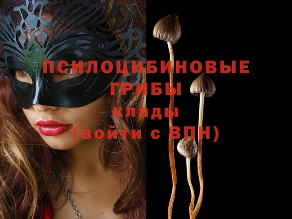 молекула духа Алексин