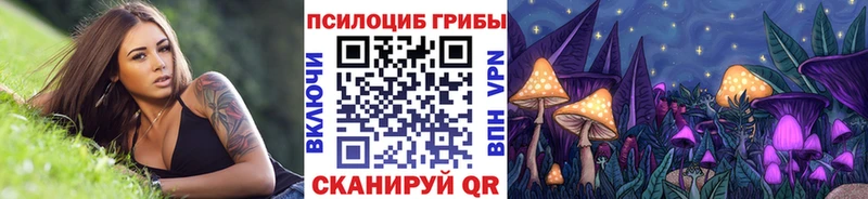 blacksprut рабочий сайт  Донецк  Псилоцибиновые грибы Magic Shrooms 